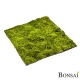 Zelena mahovnata plošča 100 cm x 100 cm