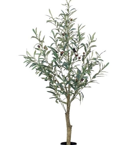 Umetna oljka by Bonsai