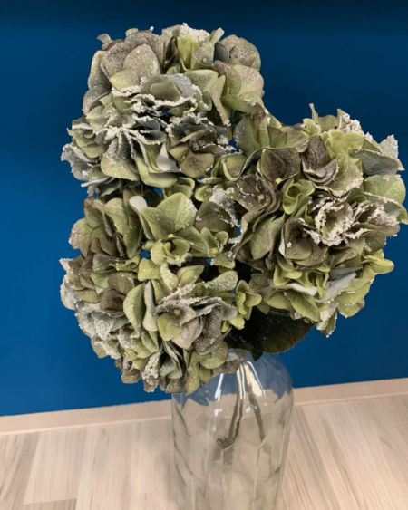 umetne hortenzije - zasnežene veje hortenzija