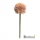 Umetni Allium nežno roza 44cm