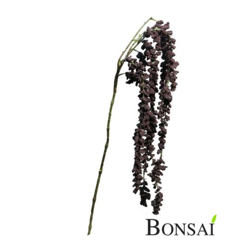 Amarant temno vijoličen 105 cm -50% POPUST