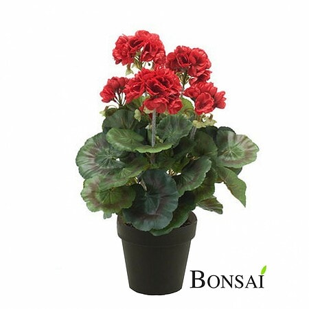 Umetna Geranija rdeča 35cm v lončku by bonsai