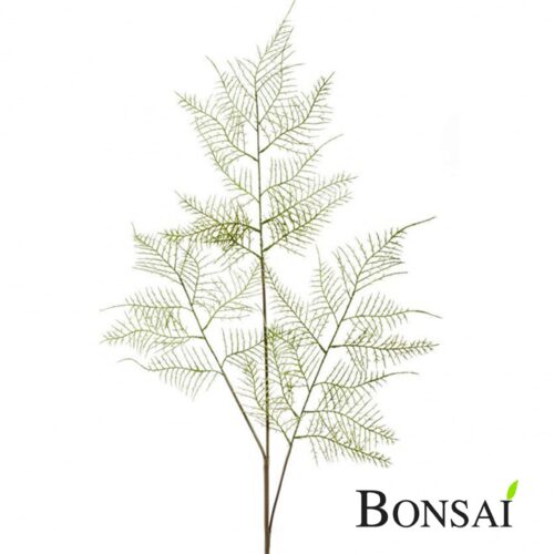 Umetni Praprot veja 80cm x3