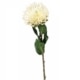 Umetna roža Bodak 70cm krem