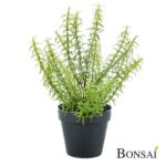 Umetni rožmarin 30cm v pvc lončku