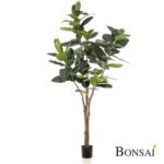 Umetno drevo Fikus Elastica 210cm