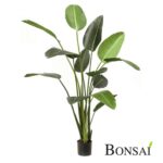 Umetna Strelicija v lončku 230 cm