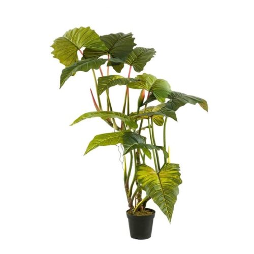 Umetna kolokazija 175 cm umetne rože Bonsai
