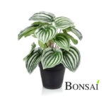 Umetna poprovka Peperomija 25cm 700746