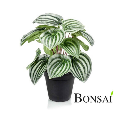 Umetna poprovka Peperomija 25cm 700746