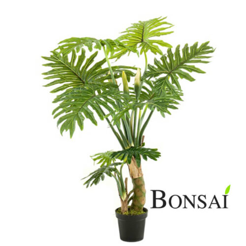 Umetni Philo 130 v lončku 840218 Philodendron