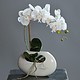 Umetna orhideja bela v vazi 43cm