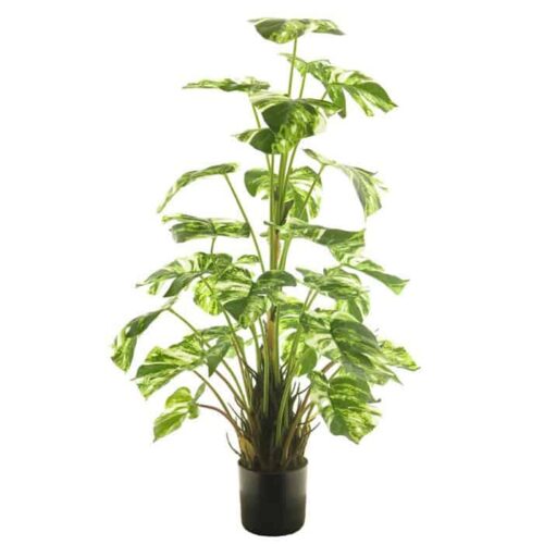 Umetni Filodendron v lončku 82cm VARIEGATA
