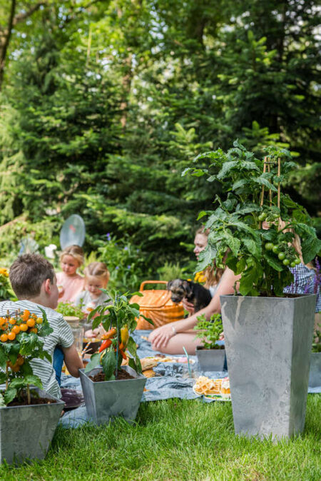 okrasni lonci by Bonsai