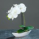 umetna orhideja bela v lončku