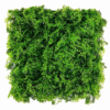 Zeleni panel zelenolistnati 50 x 50 cm