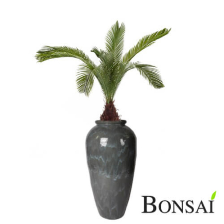 umetna palma cikas v cvetlični glineni vazi