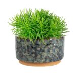 okrasni lonci za rože glineni Bonsai Trzin