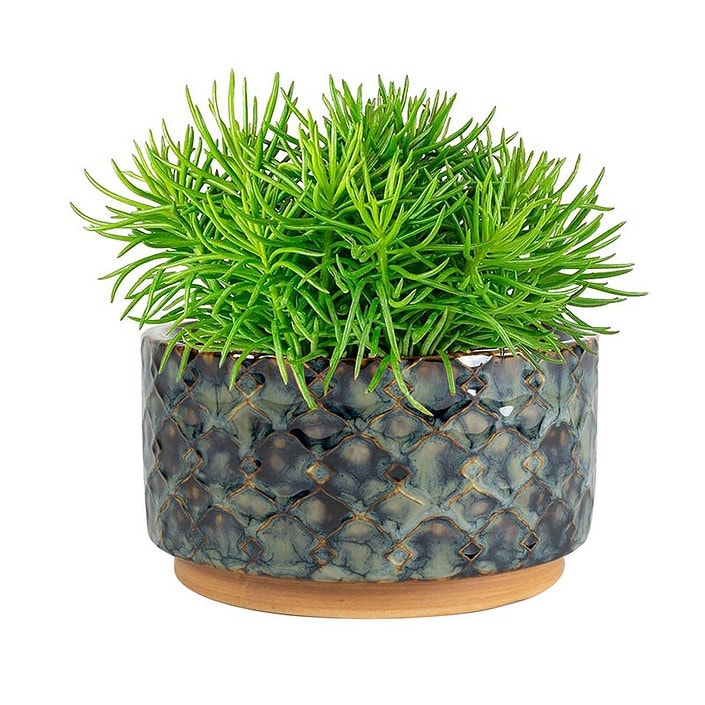 okrasni lonci za rože glineni Bonsai Trzin