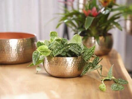 okrasni lonec posoda Kilian rose gold 2