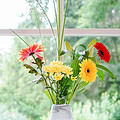 vaze za rože Marmor videz(1)
