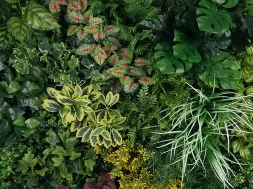 Zelena stena green wall 100x100 notranji zeleni zid mešano zelenje