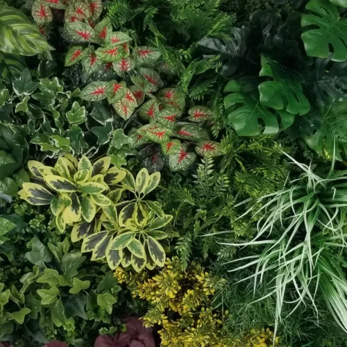 Zelena stena green wall 100x100 notranji zeleni zid mešano zelenje