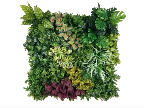 Zelena stena green wall 100x100 notranji zeleni zid ozelenjeno Zelena stena 100 x 100 cm mešano zelenje (notranja zelena stena)