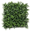 Zeleni panel eukaliptus 50 x 50cm