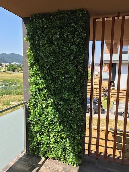 umetna zelena stena green wall zunanja Šeflera Bonsai