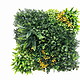 Zeleni panel Florida 50 x 50 cm z UV zaščito