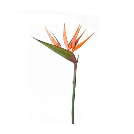 Strelicija 90 cm - umetno cvetje
