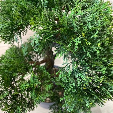 umetni bonsai Juniperus
