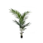 Umetna Kentia palma 150cm