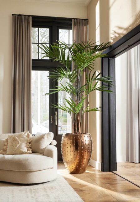 Umetna Kentia palma v prostoru - Kentia palm tree - umjetna palma