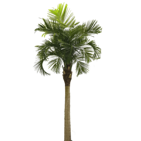 Umetna palma 350 cm