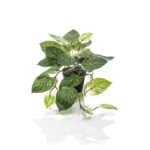 Umetni grm Skindapsus 55cm v lončku