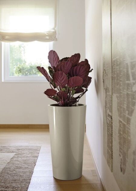 Cvetlični lonci okrasni 75cm taupe