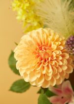 Umetna dalija 74 cm Peach