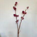 Umetna veja Physalis 80 vijolična
