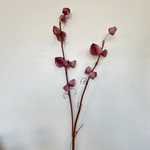 Umetna veja Physalis 80 vijolična