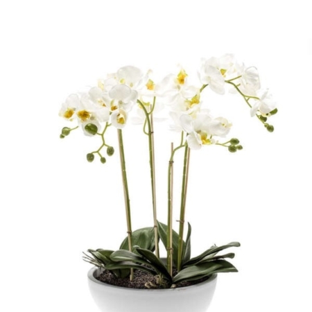 Umetne orhideje bele aranžma v beli vazi