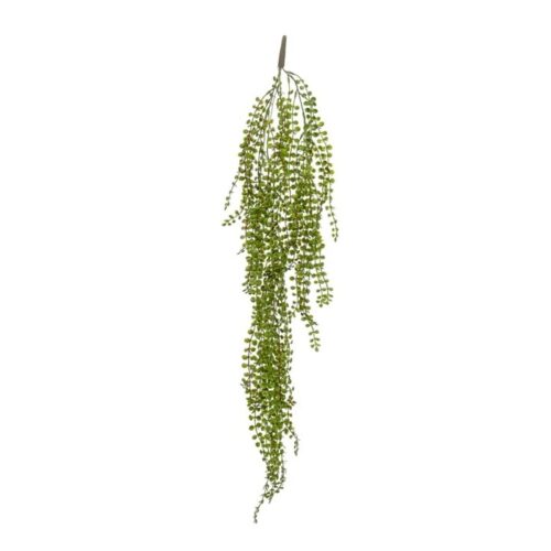Plezalka 100cm Fikus Pumila