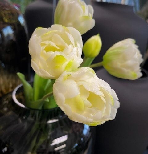 umetni tulipani krem 44cm zoom