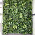 zelene stene by Bonsai