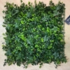zelene stene mešana zasaditev green wall