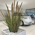 Umetne trave - umetna trava perjanka 85 cm v salonu vozil(1)