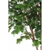 umetna drevesa velika - Bonsai dekorativne rastline