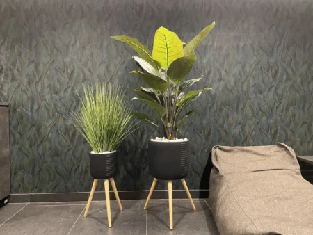 umetna trava - Gabi lonci - Strelicija 135