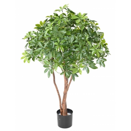 umetno drevo Šeflera z UV zaščito Bonsai